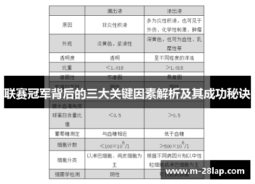 联赛冠军背后的三大关键因素解析及其成功秘诀