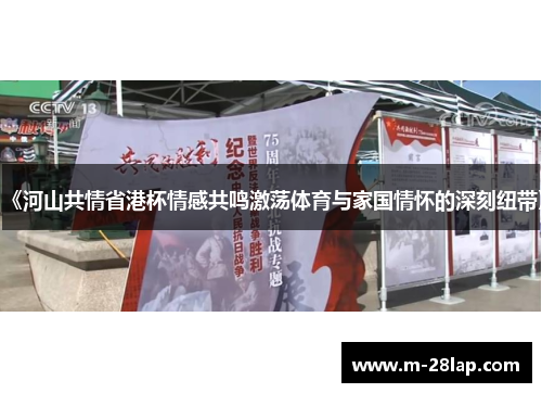 《河山共情省港杯情感共鸣激荡体育与家国情怀的深刻纽带》
