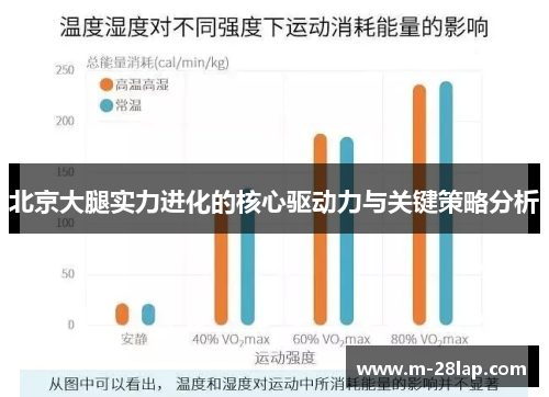 北京大腿实力进化的核心驱动力与关键策略分析