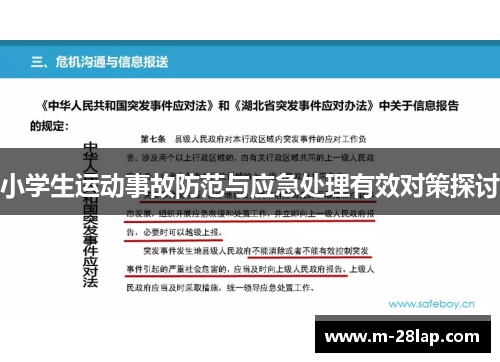 小学生运动事故防范与应急处理有效对策探讨